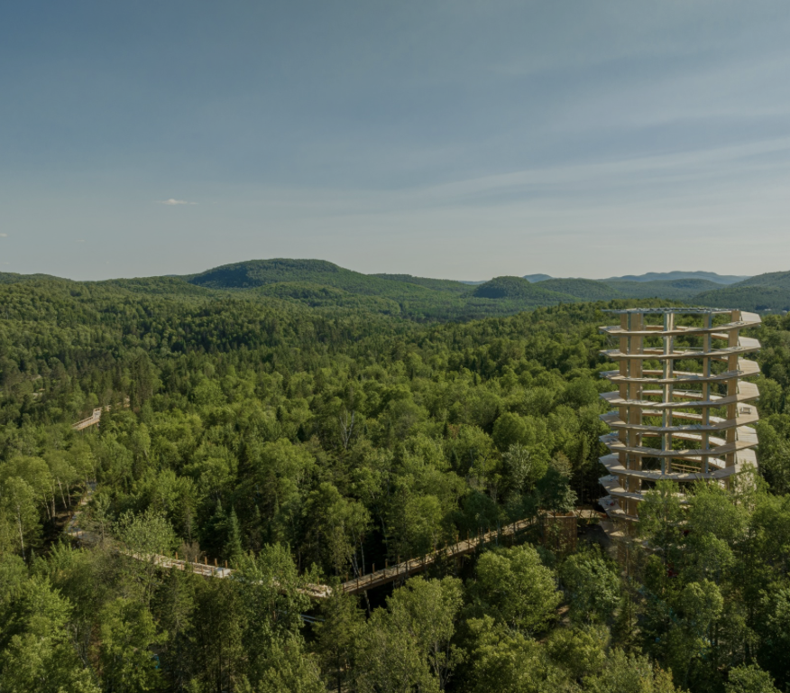 Une haute tour d'observation en bois, en spirale, domine une forêt dense et verdoyante, avec une passerelle sinueuse à travers les arbres. Des collines ondulantes et un ciel bleu sont visibles en arrière-plan.